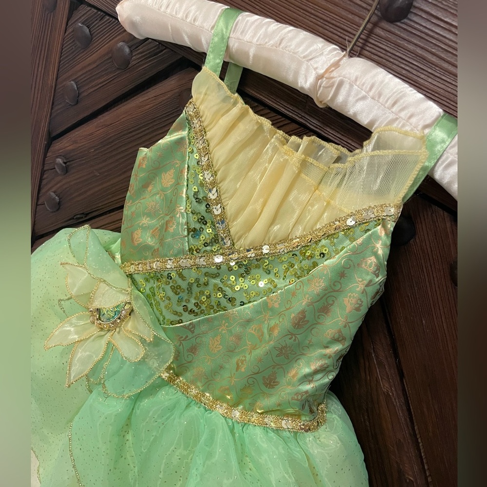 STUNNING Disney Castle collection princess Tiana gown -size 3